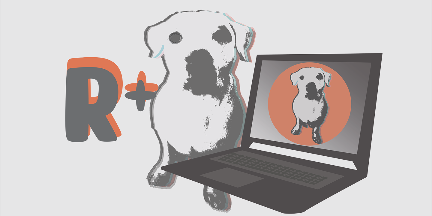 Marketing and Design for R+ Pet Pros